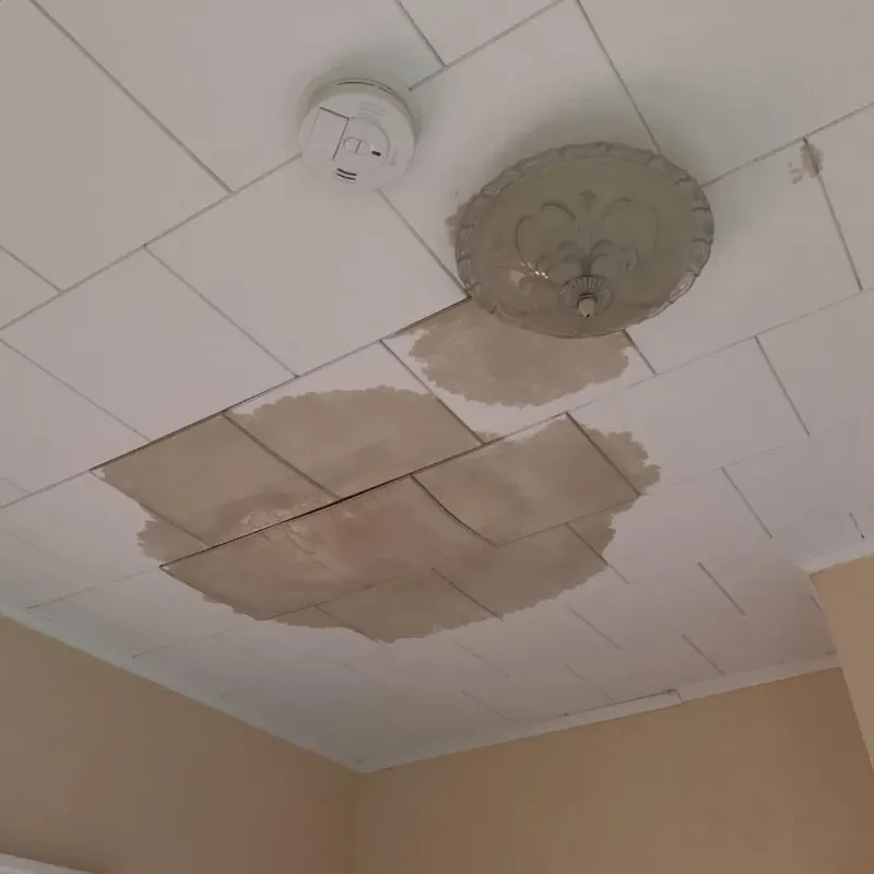 Ceiling Water Damage Repair in Westborough, MA