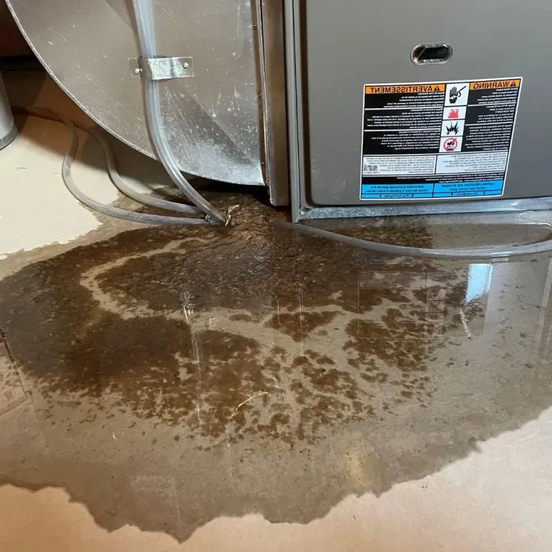 Pipe Burst and Leak Restoration in Westborough, MA